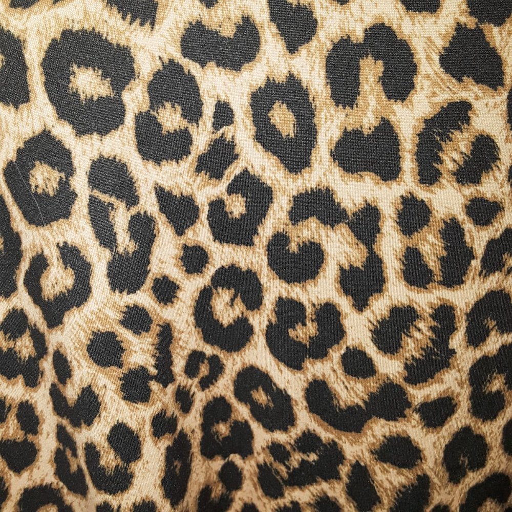 C & C California Y2K Animal Print Long Flared Ruffle Long Sleeve Top L - Picture 6 of 7